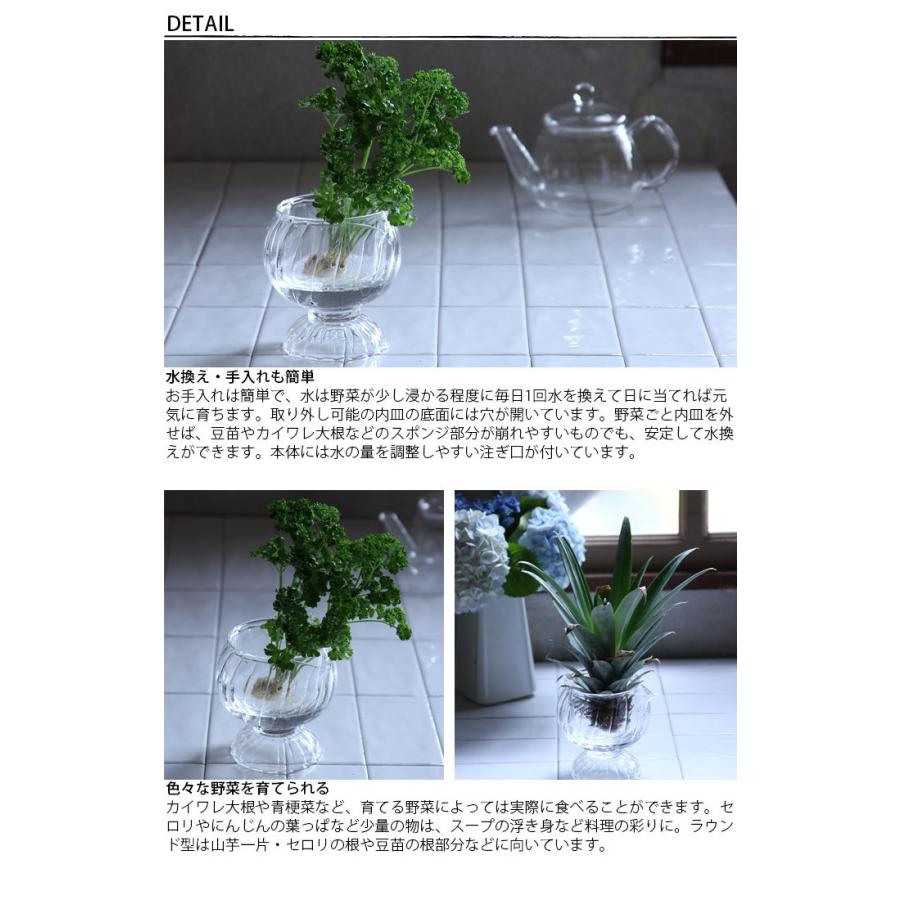 花瓶 ガラス リボベジ 水栽培 ガラスカップ Spice Of Life スパイス S Kegy21 リボーンベジタブル 器 家庭菜園 再生野菜 Th Seek 通販 Yahoo ショッピング