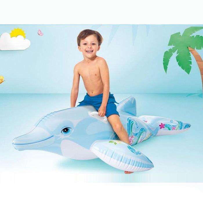 イルカ maxresdefault.jpg