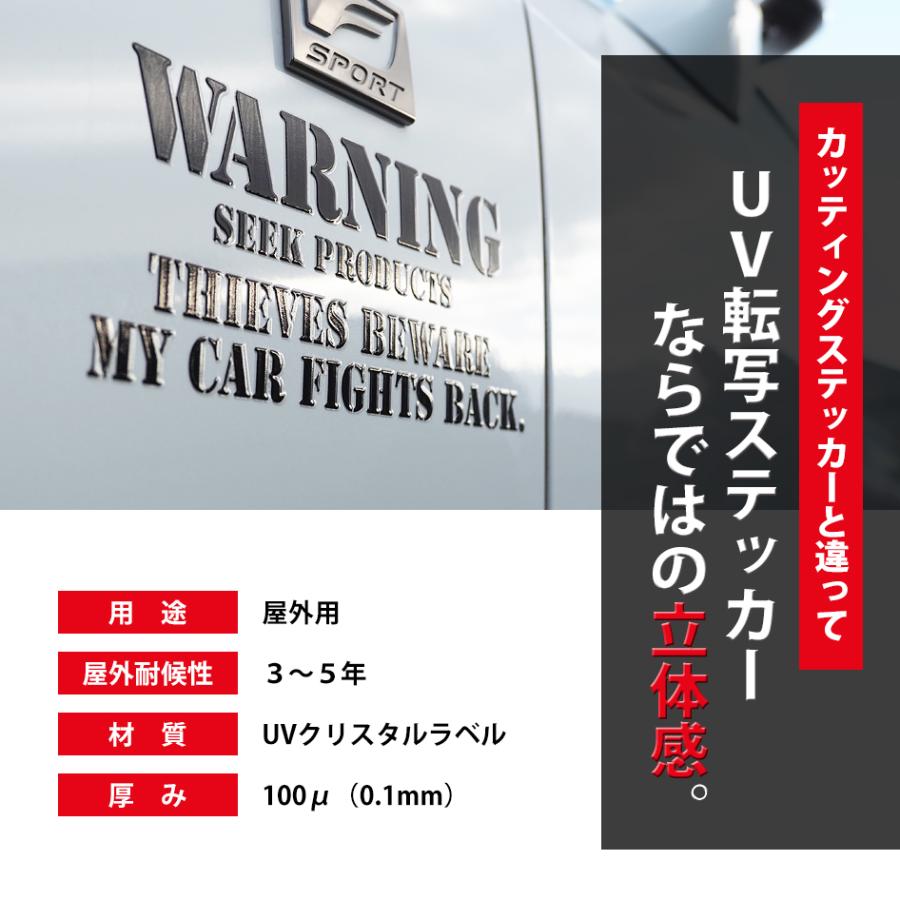 SEEK products 切り文字 ステッカー 車 STAY DRIVEN ファイヤー 炎 強