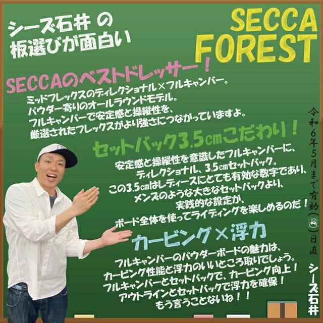 オリジナル解説】SECCA FOREST 146cm セッカ フォレスト 2023-24モデル