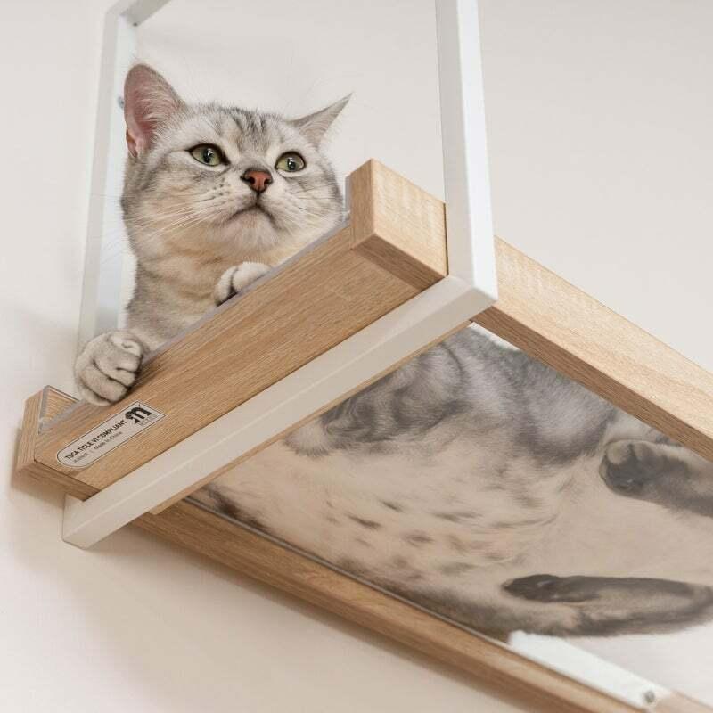 MYZOO マイズー AVENUE CLEAR キャットウォーク 壁付け 透明 MYZOO マイズー AVENUE CLEAR キャットウォーク 壁付け 透明