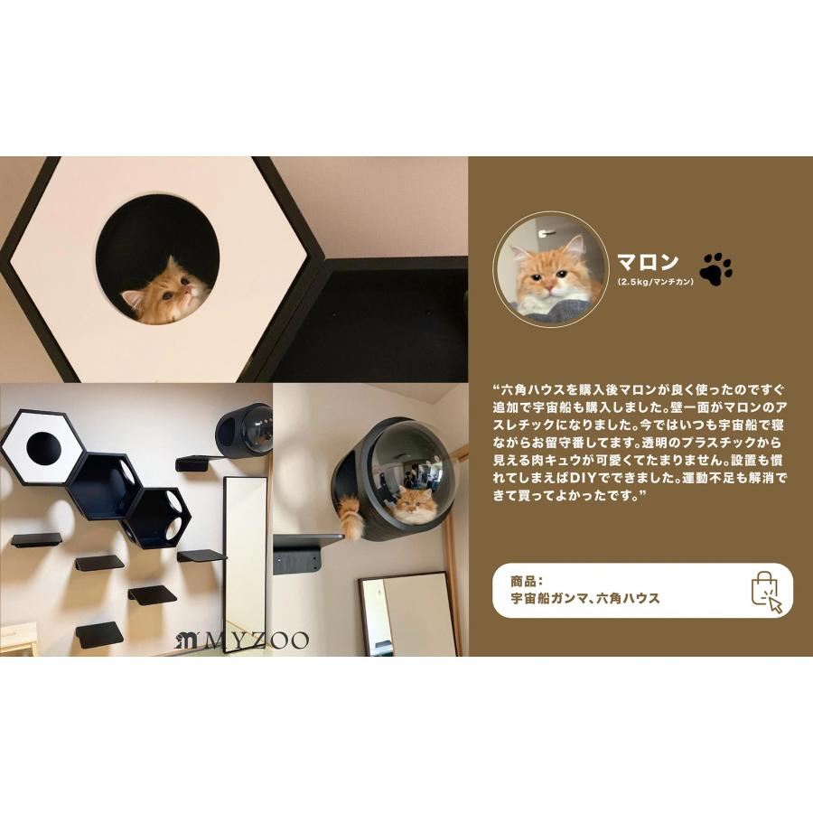 美品インテリアでのみ使用MEYOUTHECUBEキャットハウス猫ちゃんで使用なし 楽天市場】meyou/ミーユー キャットハウス フランス発の