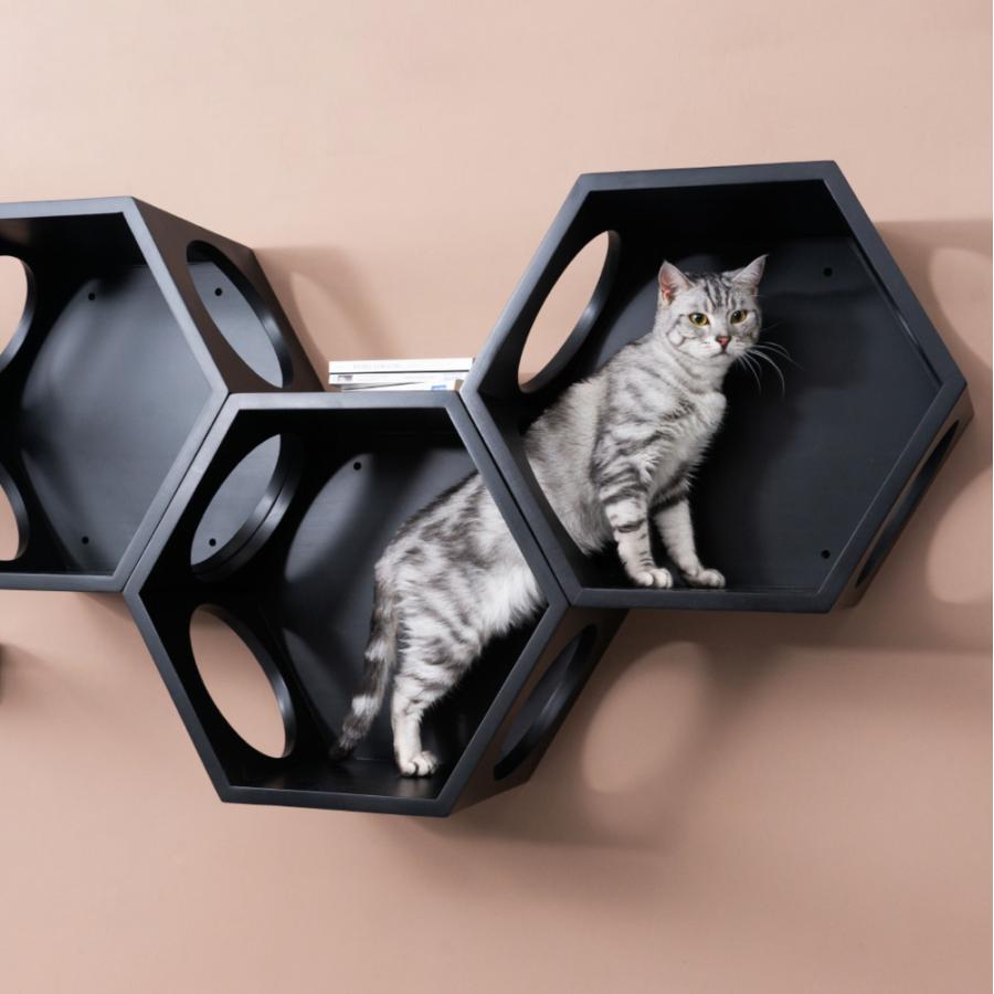 MYZOO マイズー 六角ハウス3個+ 宇宙船GAMMAセット キャットステップ おしゃれ キャットウォーク かわいい 猫ベット ねこハウス ブラック |  | 01