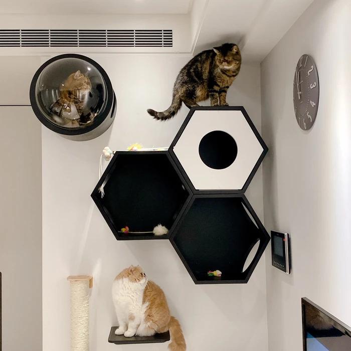 MYZOO キャットウォーク 六角ハウス ブラック キャットステップ