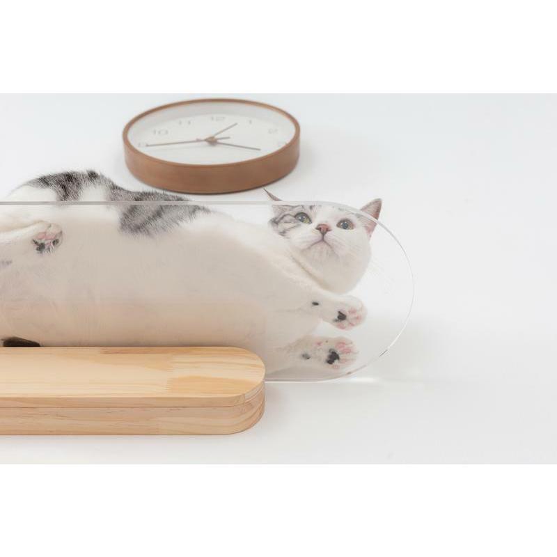 MYZOO マイズー キャットステップ  OBLONG オブロング クリア キャットウォーク 壁 壁面アート ねこステップ 猫家具 壁取り付け Mサイズ 60cm | MYZOO | 03
