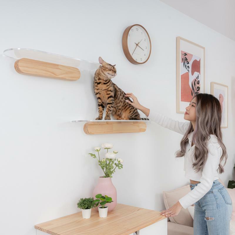 MYZOO マイズー キャットステップ  OBLONG オブロング クリア キャットウォーク 壁 壁面アート ねこステップ 猫家具 壁取り付け Mサイズ 60cm | MYZOO | 04