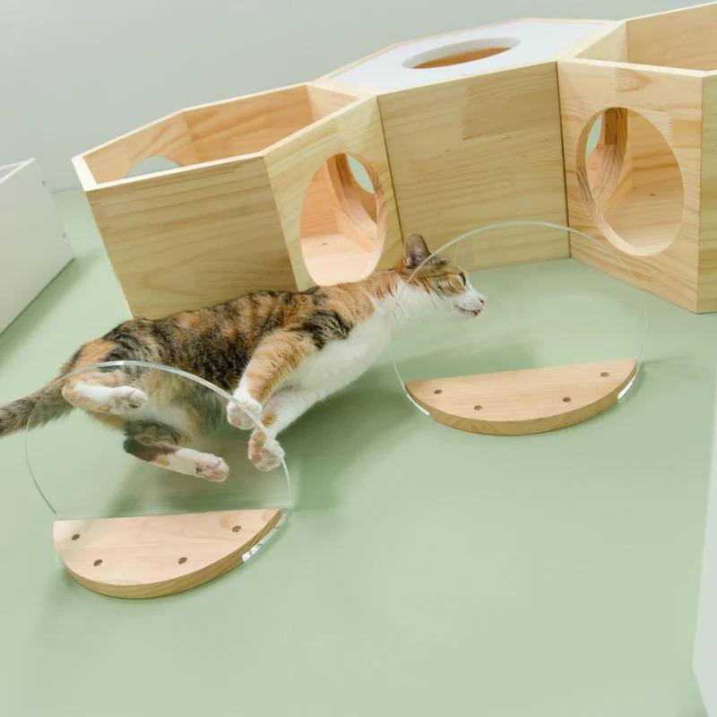 MYZOO マイズー ROUNDLACK CLEAR キャットステップ 壁 透明 クリア キャットウォーク 足場 階段 ステップ 壁付け コンパクト セット 猫 インテリア｜sefety-shop｜04
