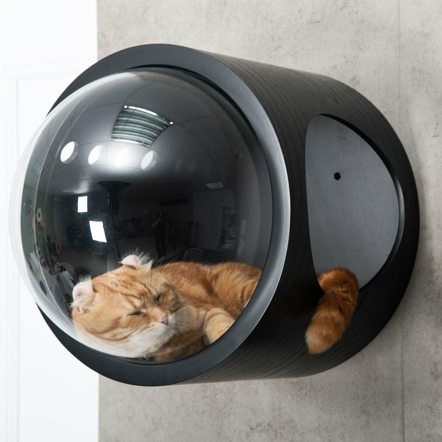MYZOO マイズー 宇宙船GAMMA キャットハウス 木製 ドーム 壁 MYZOO マイズー 宇宙船GAMMA キャットハウス 木製 ドーム 壁