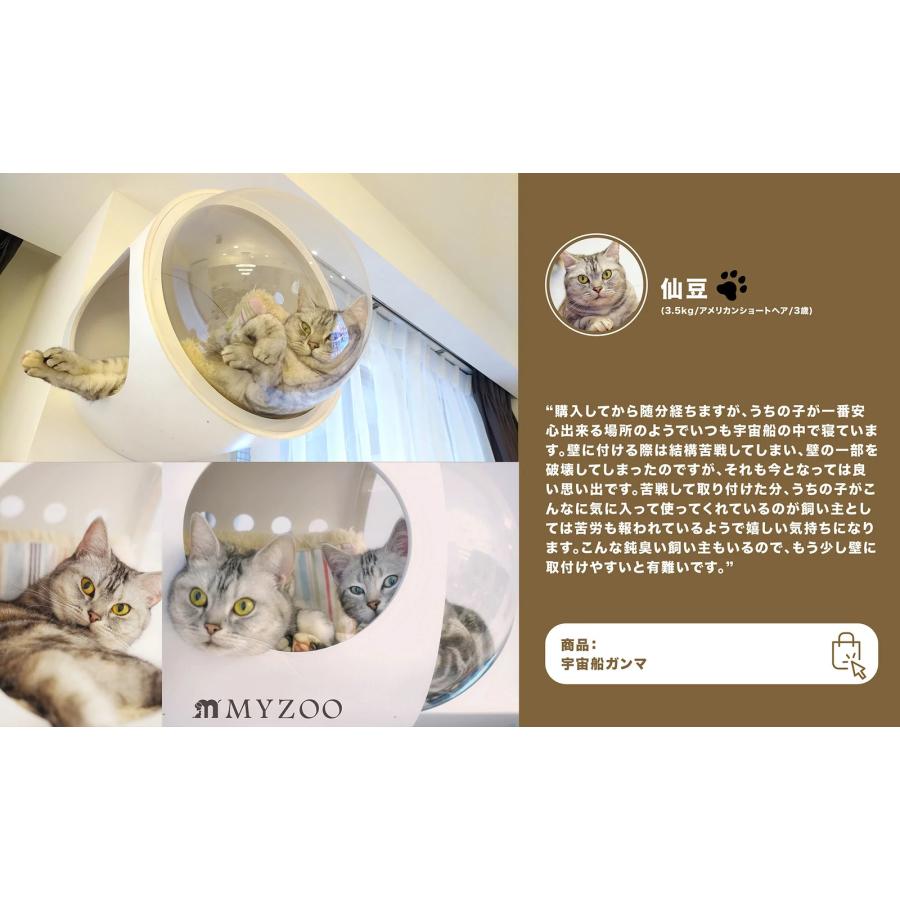 MYZOO 宇宙船（送料込） 楽天市場】【レビュー特典あり】 キャットステップ ＼ペット割で
