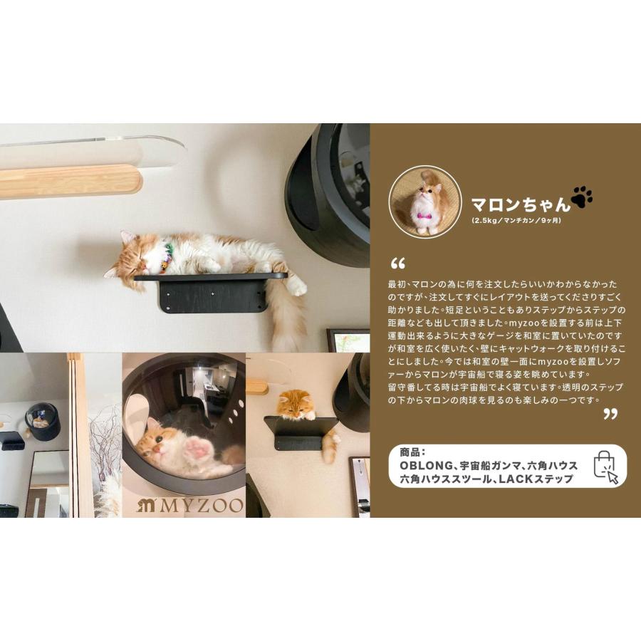 MYZOO マイズー 宇宙船GAMMA キャットハウス 木製 ドーム 壁 MYZOO マイズー 宇宙船GAMMA キャットハウス 木製 ドーム 壁