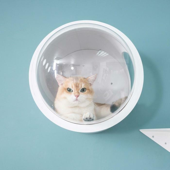 MYZOO マイズー 宇宙船GAMMA キャットハウス 木製 ドーム 壁 MYZOO マイズー 宇宙船GAMMA キャットハウス 木製 ドーム 壁