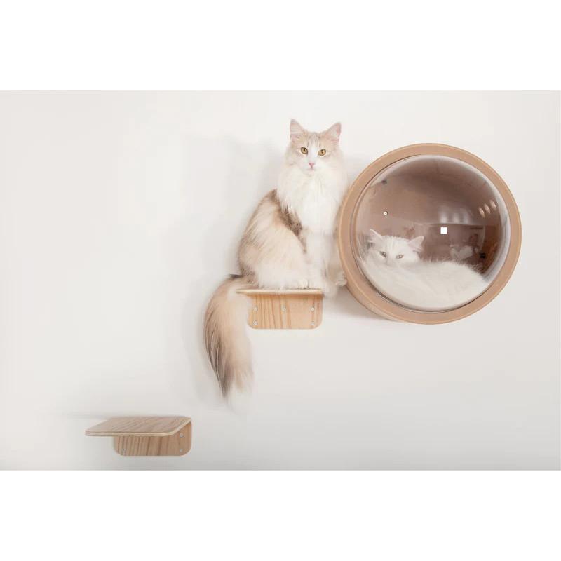MYZOO マイズー LACK キャットステップ  キャットウォーク 壁付け おしゃれ 室内 インスタ映え 壁 ステップ Mサイズ 2枚入 | MYZOO | 05