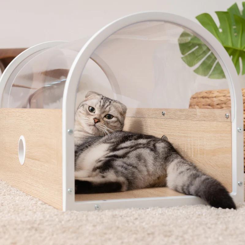 MYZOO マイズー TUNNEL キャットウォーク トンネル 透明 壁付け MYZOO マイズー TUNNEL キャットウォーク トンネル 透明 壁付け