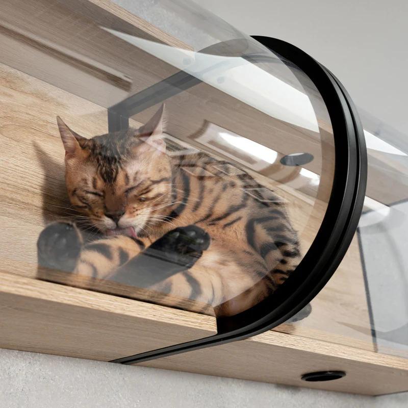 MYZOO マイズー TUNNEL キャットウォーク トンネル 透明 壁付け MYZOO マイズー TUNNEL キャットウォーク トンネル 透明 壁付け