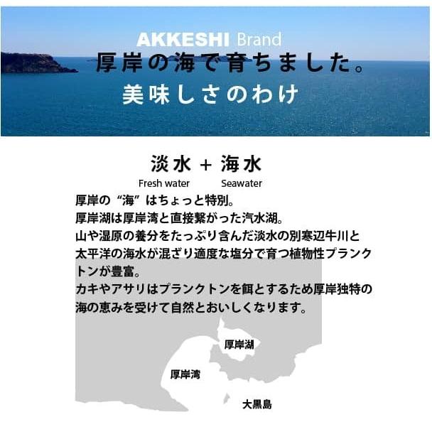 北海道 厚岸産 生牡蠣 「マルえもん」Lサイズ 20個入 殻付 生食可 漁師直送｜segawa-shokuhin｜08