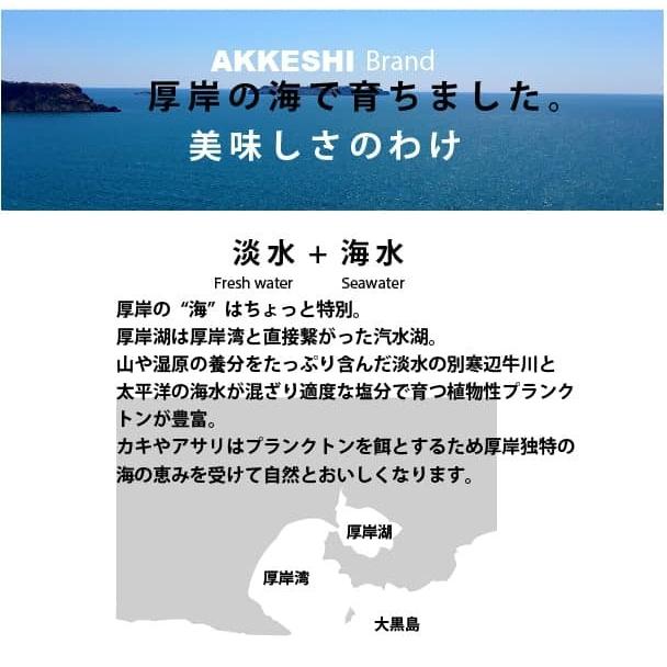 北海道 厚岸産 生牡蠣 「マルえもん」2Lサイズ 20個入 殻付 生食可 漁師直送｜segawa-shokuhin｜09