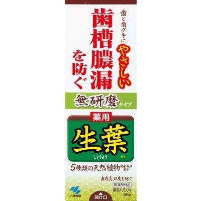 小林製薬 生葉 薬用ハミガキ 無研磨タイプ ９５ｇ×96個 (オーラル)(歯磨き)(歯ブラシ) (爆買)