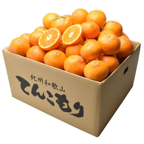 訳あり和歌山みかん 10kg(箱込約10kg) 3S〜3Lサイズ 訳あり和歌山みかん 10kg(箱込約10kg) 3S〜3Lサイズ