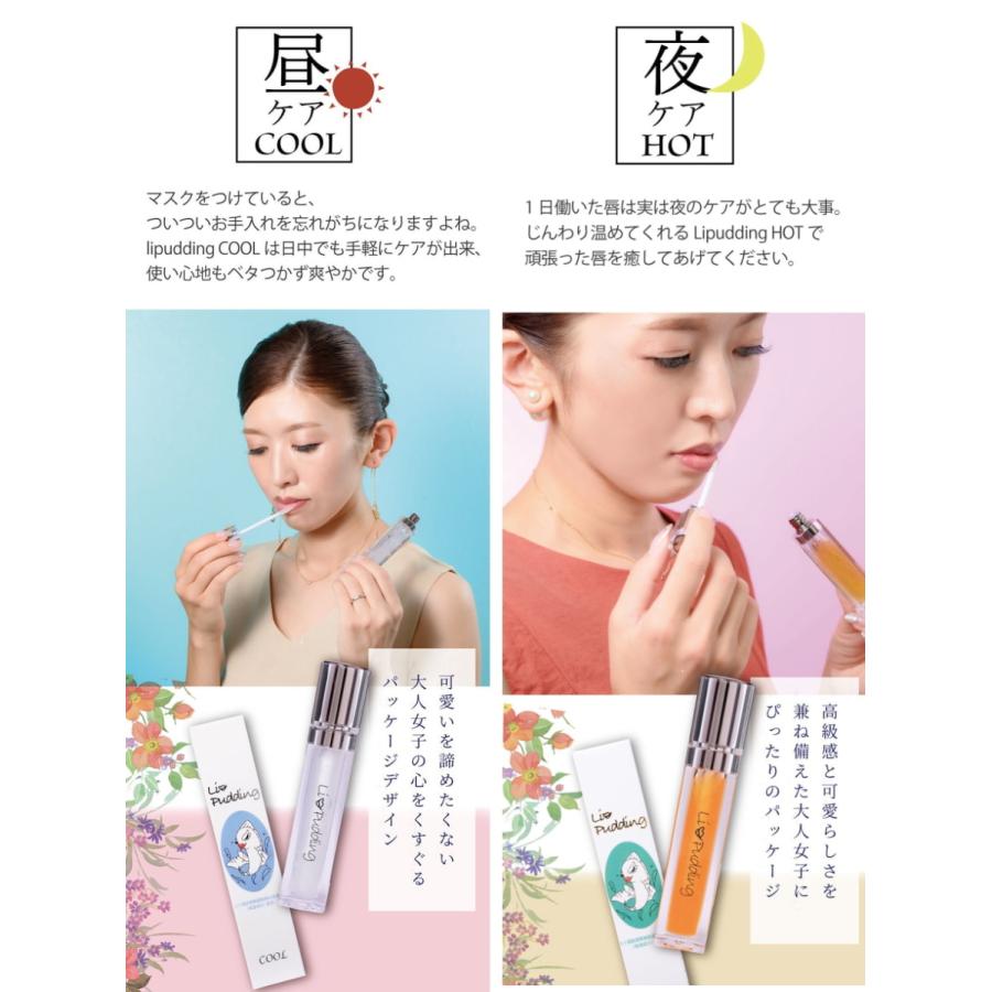 新着商品 Lipudding リップリン リップグロス 潤い 潤う 1日中 終日 ヒト幹細胞培養液 唇専用美容液 ルージュ メール便配送 送料無料 最終値下げ Www Aqtsolutions Com