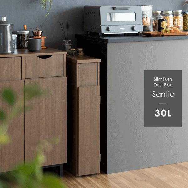木製 スリム ゴミ箱 キャスター付き 縦長 ダストボックス サンティア new Santia m-DB-F170-new 30L ごみ箱に見えないごみ箱 天板フラット_1