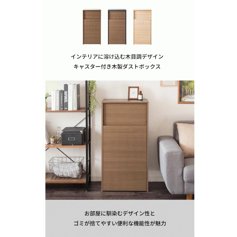 臭いが漏れないゴミ箱 キャスター付きダストボックス new Helios ヘリオス 臭いが漏れない ごみ箱 塵箱 DB-F1100-new 宮武製作所_1