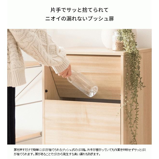 臭いが漏れないゴミ箱 キャスター付きダストボックス new Helios ヘリオス 臭いが漏れない ごみ箱 塵箱 DB-F1100-new 宮武製作所_2