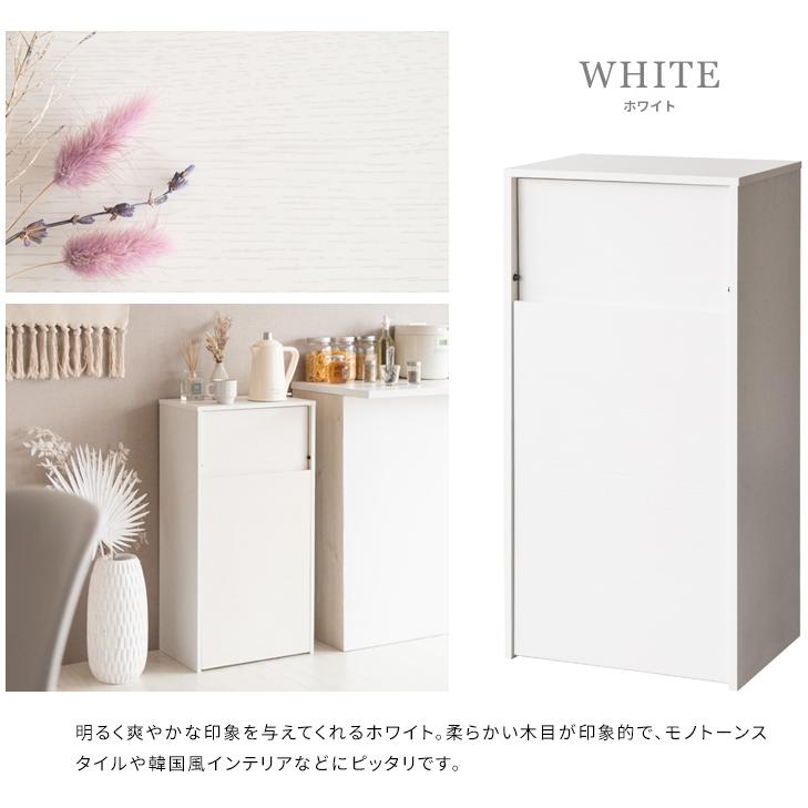 臭いが漏れないゴミ箱 キャスター付きダストボックス new Helios ヘリオス 臭いが漏れない ごみ箱 塵箱 DB-F1100-new 宮武製作所_9