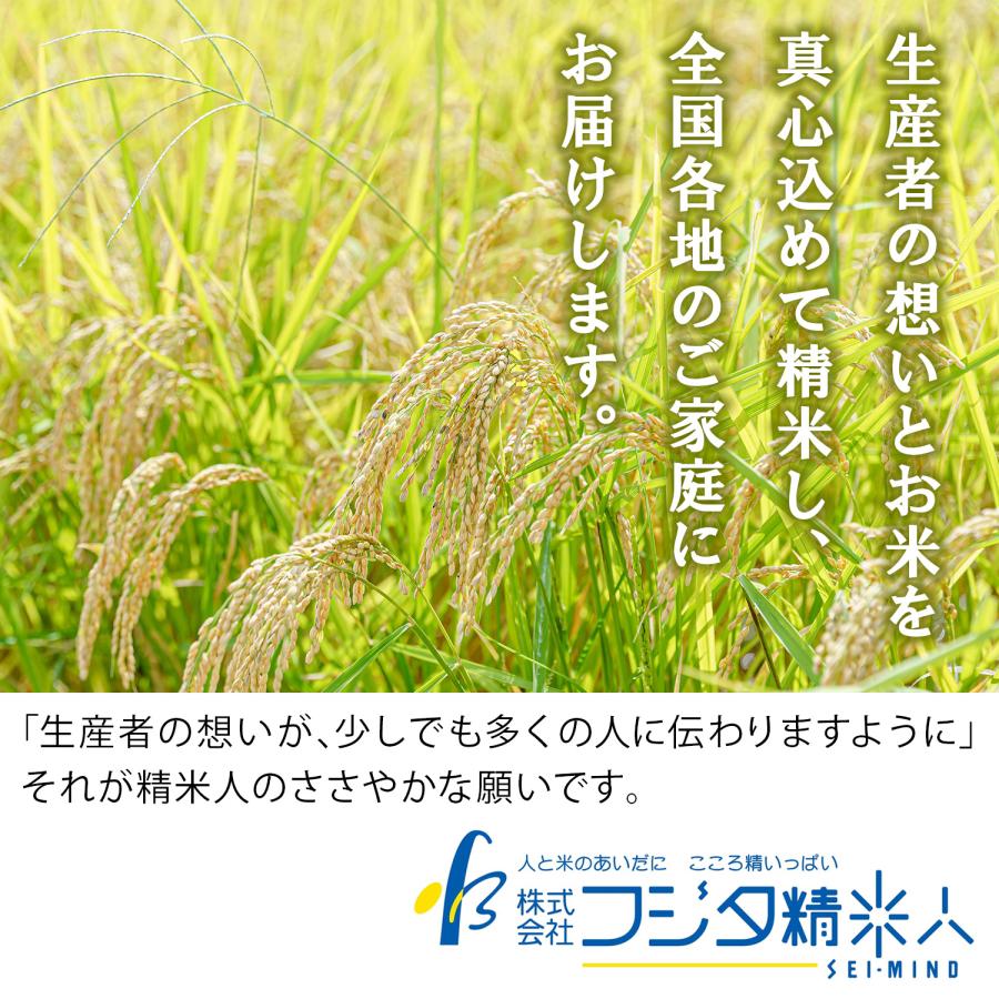 コシヒカリ 令和7年産 島根県奥出雲産仁多米コシヒカリ 白米5kg お米