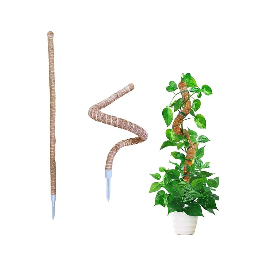 園芸 観葉植物モンステラ 支柱 つる性植物 ココスティック 維持水分
