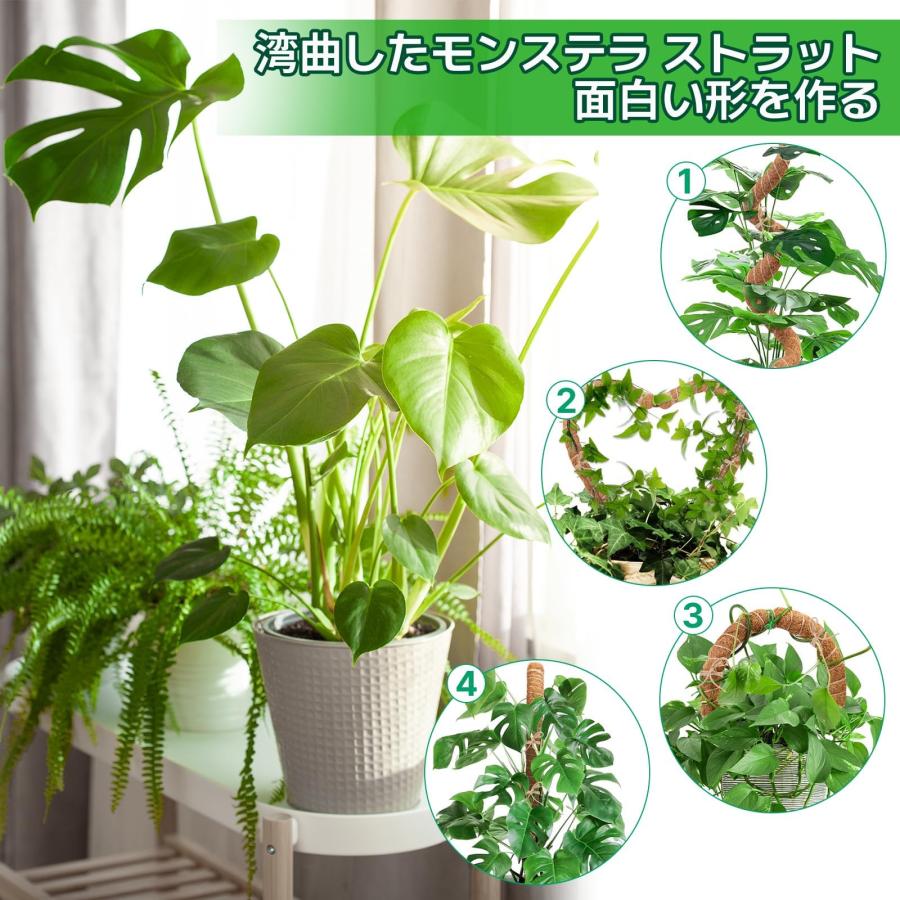 園芸 観葉植物モンステラ 支柱 つる性植物 ココスティック 維持水分