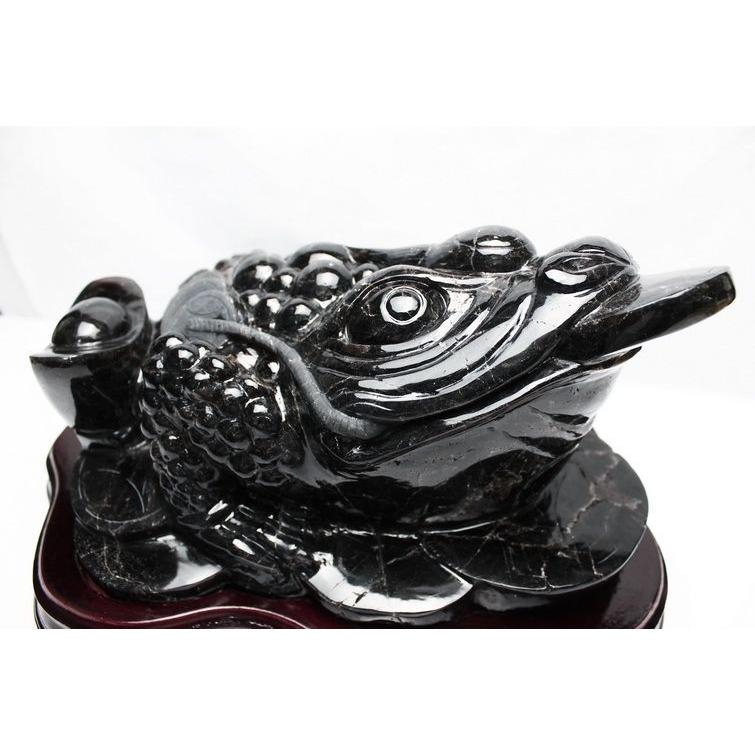 10.3Kg モリオン 純天然 黒水晶 金蟾 t130-1946_2