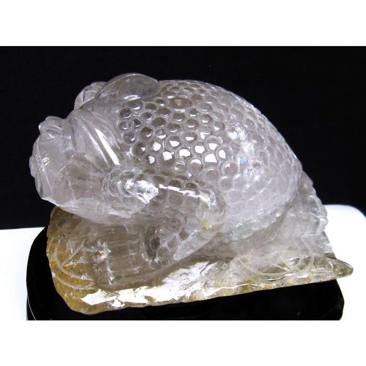 1.6Kg ヒマラヤ水晶金蟾 t130-2087 : 誠安天然石専門店 - 通販 - Yahoo