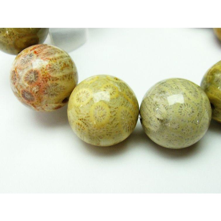 フォッシルコーラル ブレスレット 化石珊瑚 19mm t155-1271 : 誠安