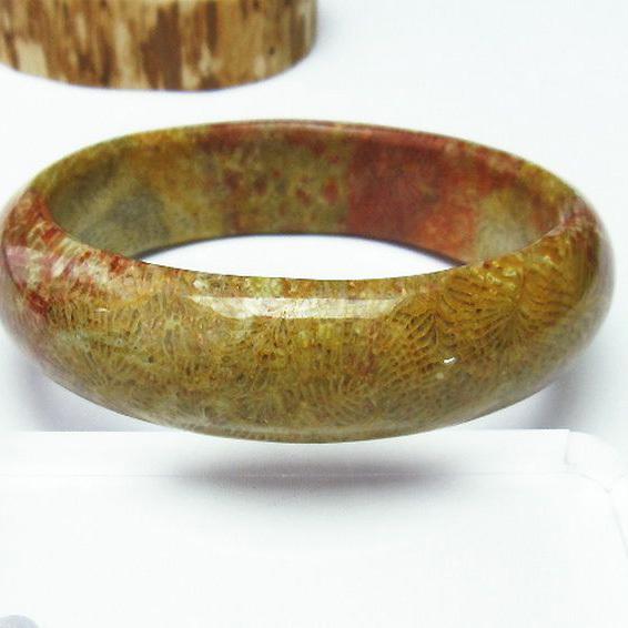 フォッシルコーラル バングル 化石珊瑚60mm t23-2314 : 誠安天然石専門