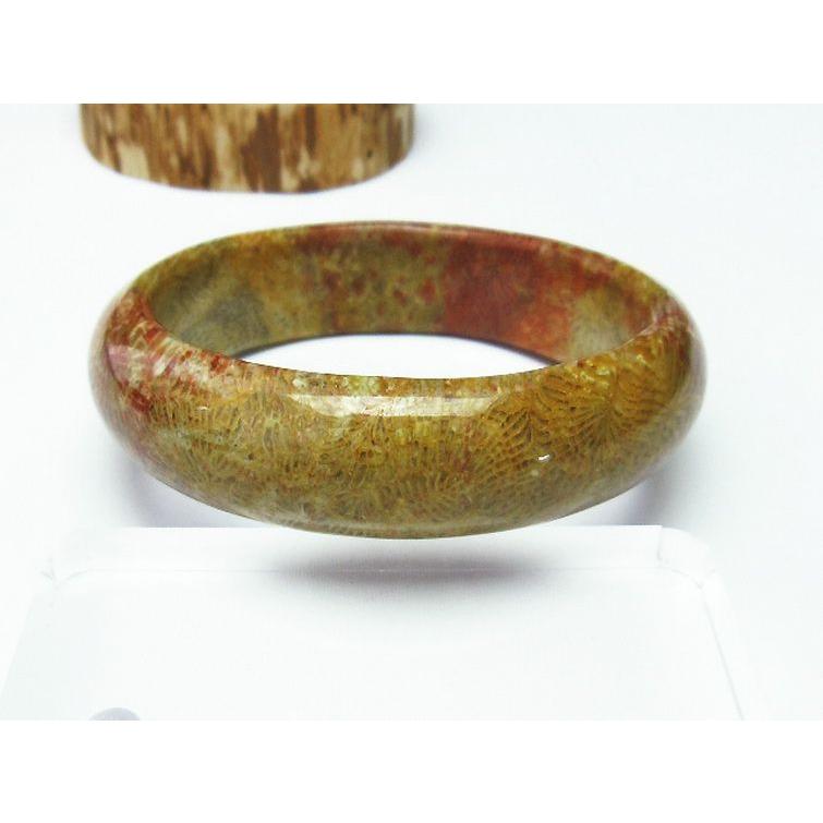フォッシルコーラル バングル 化石珊瑚60mm t23-2314 : 誠安