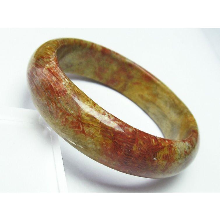 フォッシルコーラル バングル 化石珊瑚60mm t23-2314 : 誠安