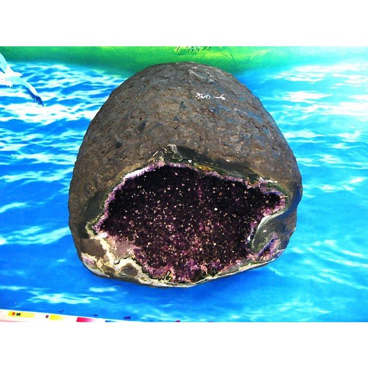 43.4Kg サークルジオード アメジストドーム ウルグアイ産 同梱不可