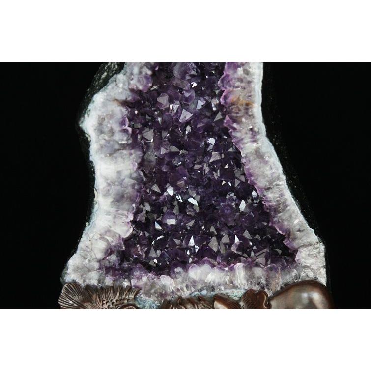 完全予約品:☆ご予約品 ご注文から3ヵ月後の発送予定ty☆20.6Kg