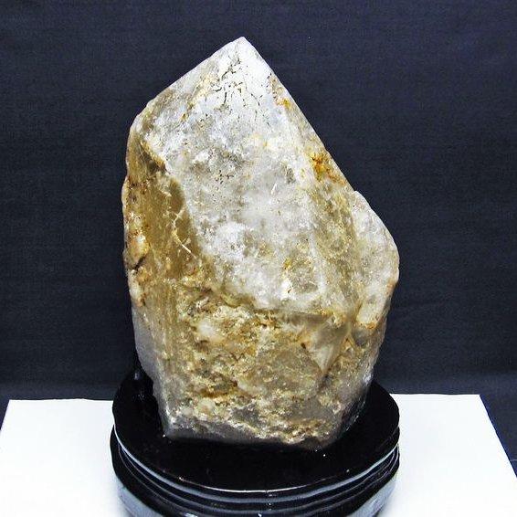 高品質シトリン巻貝No.1373 高品質シトリン巻貝No.1373 高品質シトリン巻貝No.1373 高品質シトリン