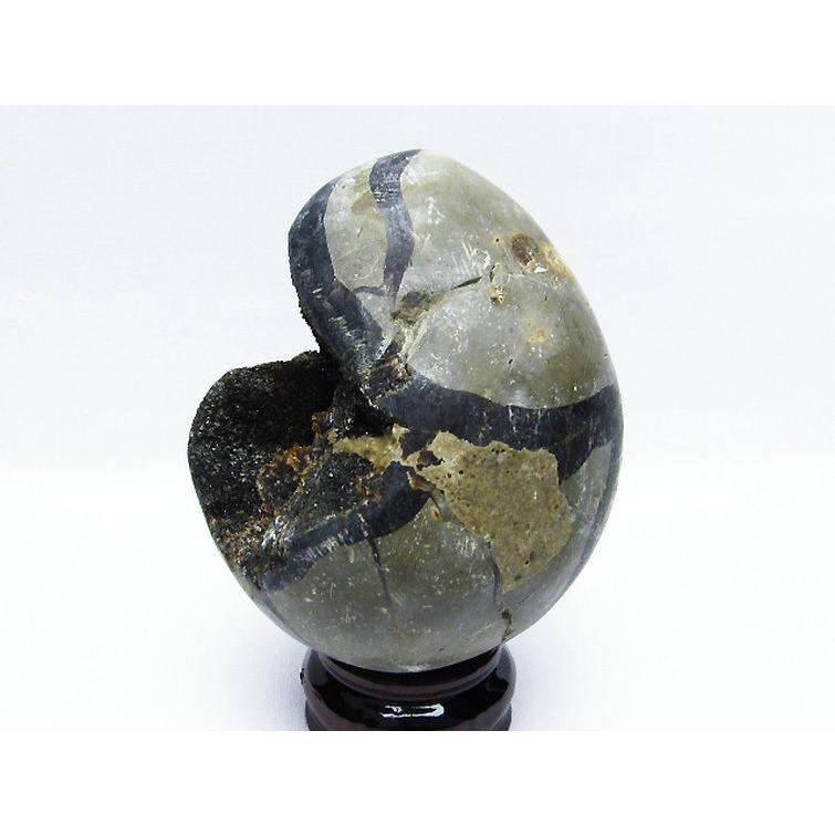 原石タートルジャスパー