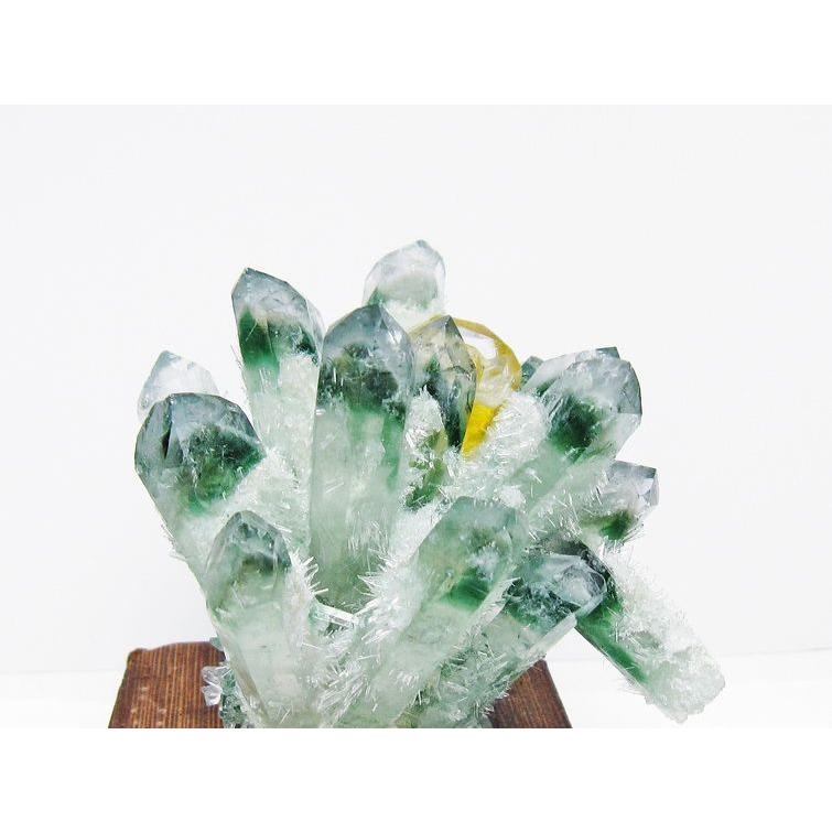 緑水晶 グリーンクォーツ クラスター t802-5847 : 誠安天然石専門店