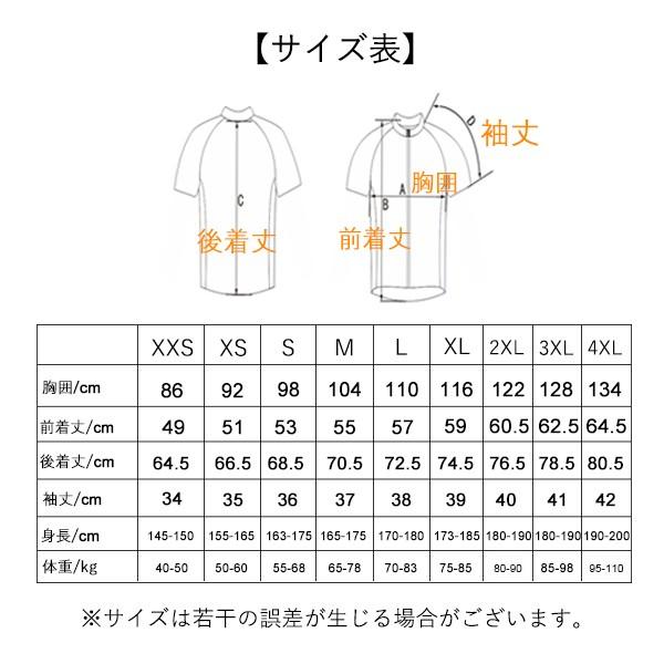 サイクルウェア サイクルジャージ メンズ 半袖 ロードバイク ウェア スポーツ UPF50＋ シンプル 自転車 サイクリング マウンテンバイク｜seibi-shop｜04