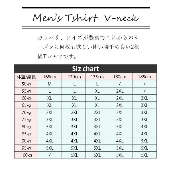 Tシャツ メンズ 無地 半袖 2枚 セット Vネック カットソー 通気性 吸汗性 インナー 大きいサイズ｜seibi-shop｜08