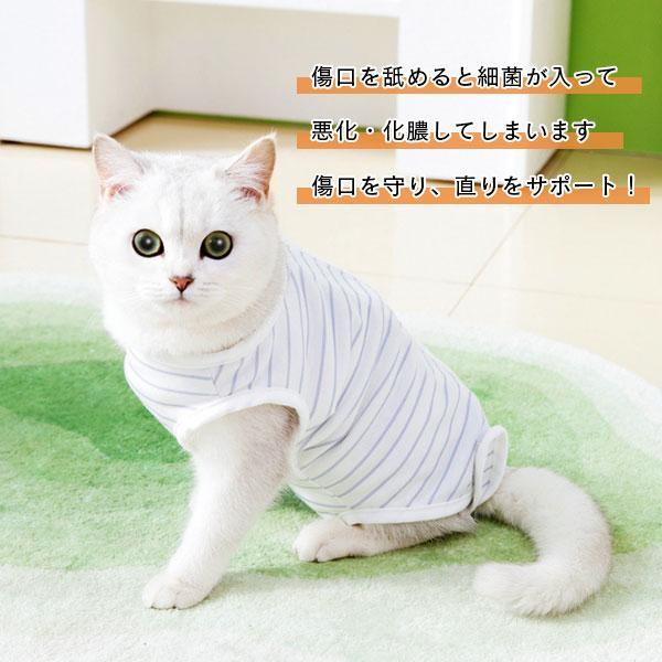 猫用 ペット用 術後服 エリザベスカラー 猫 ねこ オス メス 術後着 術後ウェア 去勢 手術 避妊 ウエア ボーダー柄 かわいい 傷口保護｜seibi-shop｜04