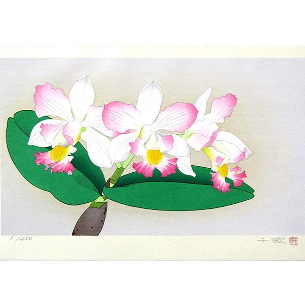 中島千波 作品 花の瞬間 カトレア 木版画 額付き 新品 絵画 日本画 花の絵 カトレヤ 洋ラン B4302 駿河画廊 通販 Yahoo ショッピング