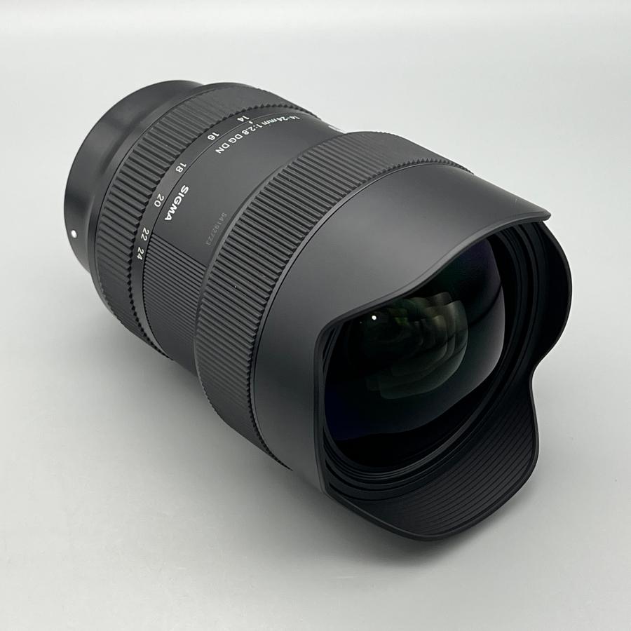 Art（シグマ） SIGMA 14-24mm F2.8 DG DN | Art Lマウント