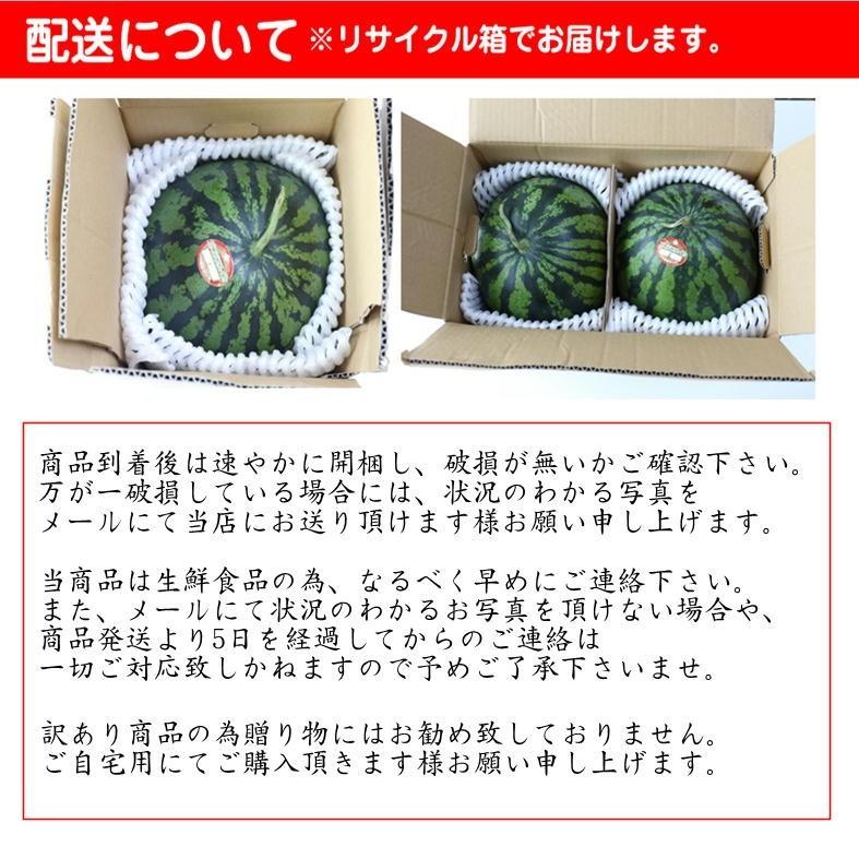 訳あり すいか 2玉（1玉5kg以上） 愛媛県産　スイカ　果物　フルーツ