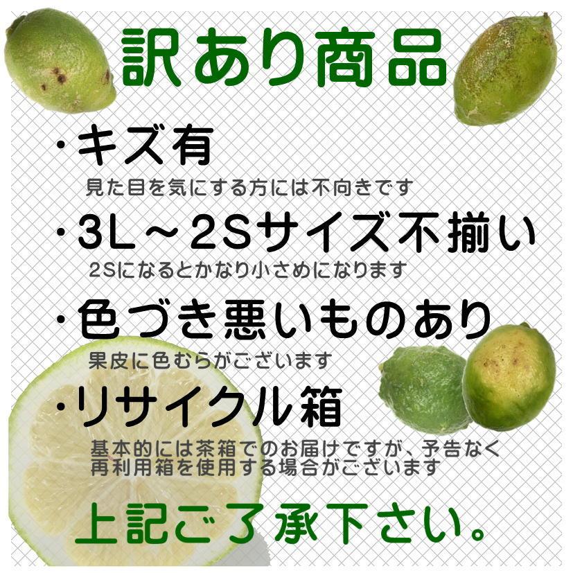 訳あり国産 レモン約10kg 愛媛県産 ワックス・防腐剤不使用 れもん 北海道・沖縄送料別途1000円｜seibuseika｜04