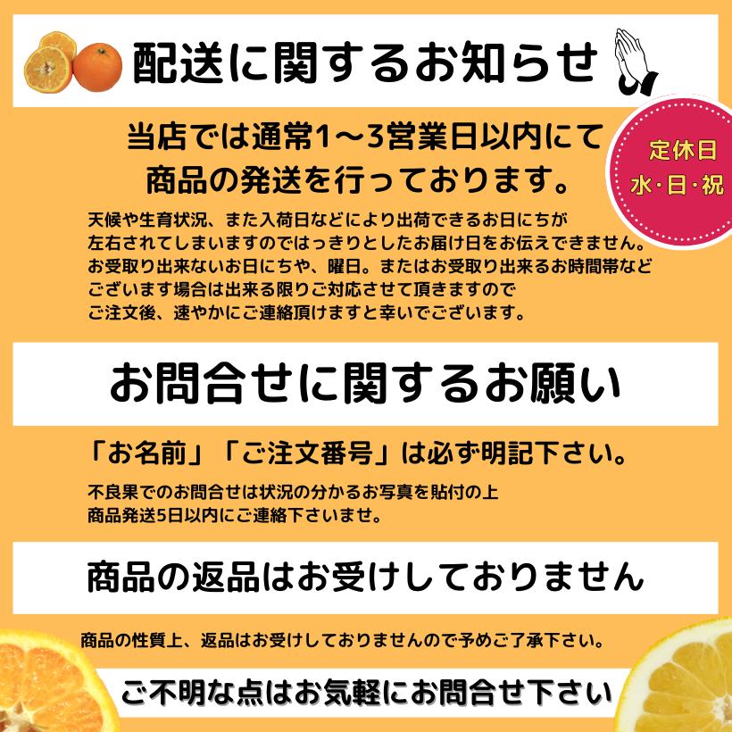 訳あり 愛媛県産 河内晩柑 約4kg｜seibuseika｜09