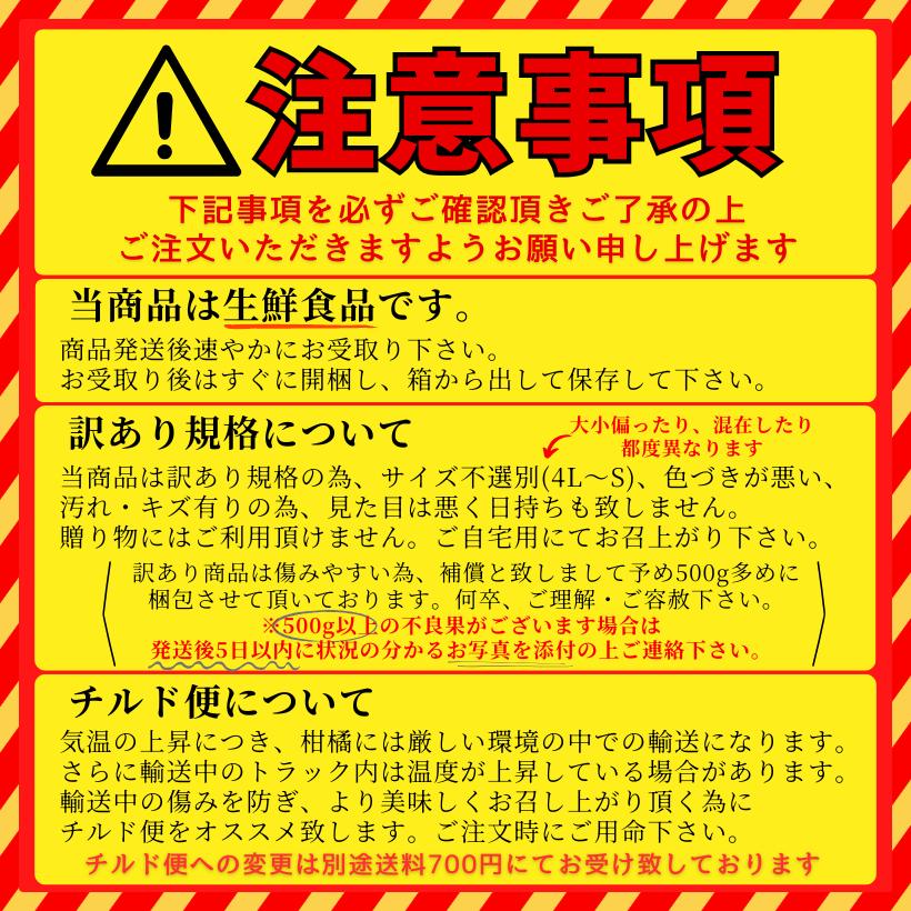 訳あり 河内晩柑 約10kg +補償500g 愛媛県産 : せいぶ青果 - 通販